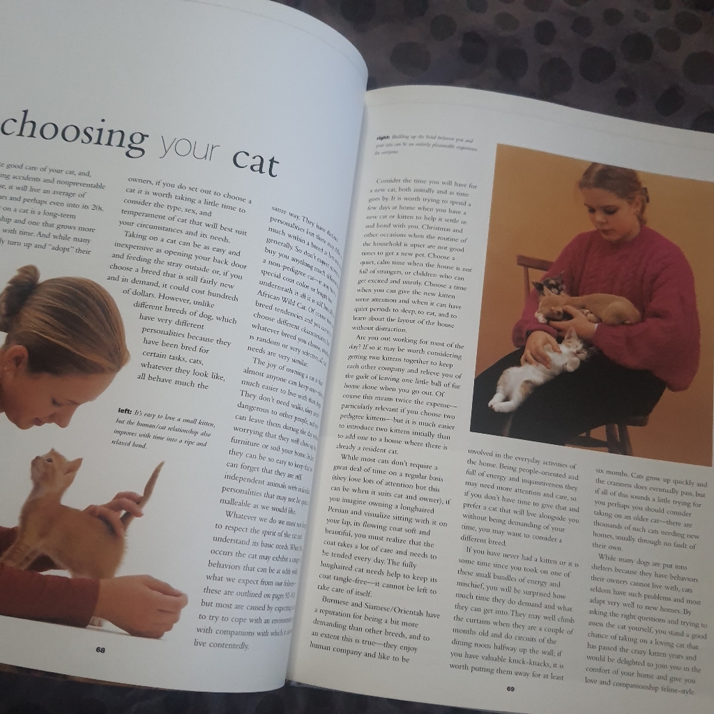 Complete Guide To Cats Coffee Table Book - Picture 5 of 7